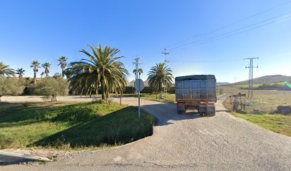 Imagen de Jardinería Sara situado en Cáceres, Cáceres