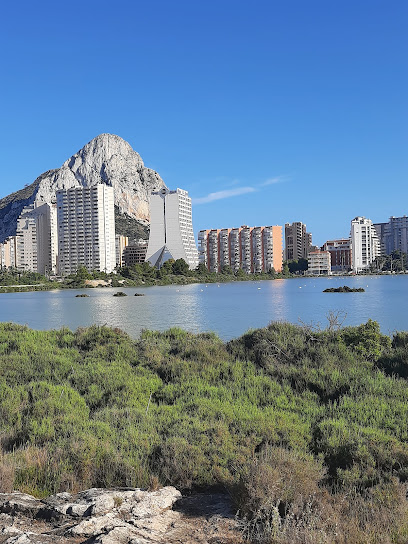 Imagen de Jardineria Todoarbol situado en Calp, Alicante