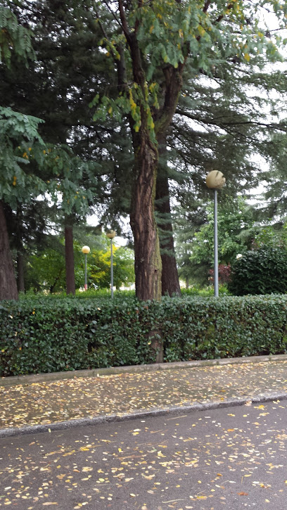 Imagen de Jardinería Y Servicios S L situado en Belvis de Jarama, Madrid