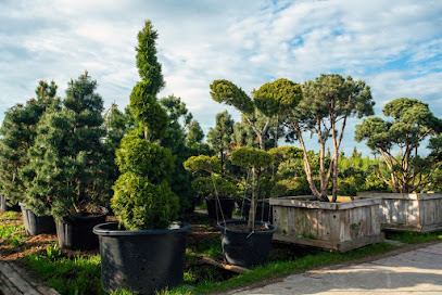 Imagen de Jardinería landatuz situado en Donostia-San Sebastian, Gipuzkoa