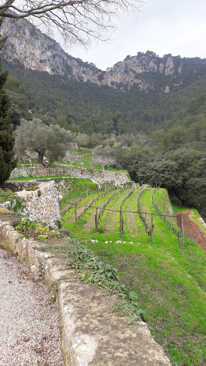 Imagen de Jardines Isla Mediterránea situado en Sa Coma, Balearic Islands