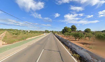 Imagen de Jardines Lázaro S.L. situado en Alcossebre, Castellón