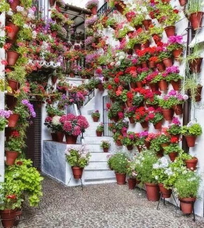 Imagen de Jardines Mundi SL situado en San Juan de los Terreros, Almería