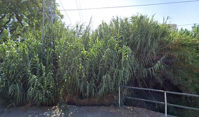 Imagen de Jardines y Viveros Campos Flor S.L. situado en Estepona, Málaga