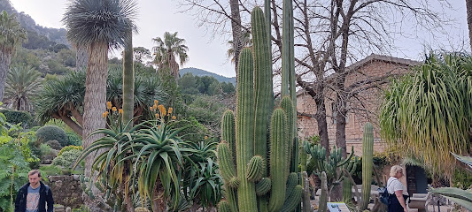 Imagen de Jardins de Soller situado en Sóller, Balearic Islands