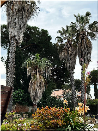 Imagen de José jardiner situado en Lloret de Mar, Girona