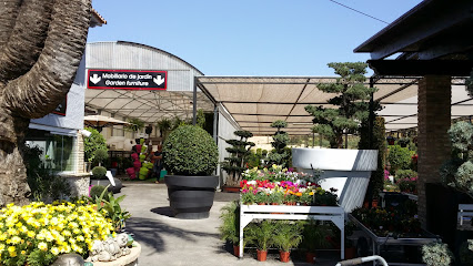 Imagen de LUXURY GARDEN CENTER, S.L. situado en Benissa, Alicante