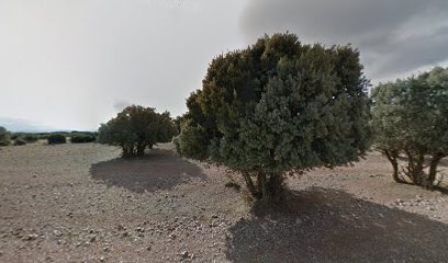 Imagen de La Matilla situado en Villafranca del Campo, Teruel