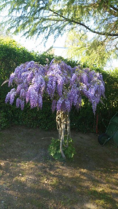 Imagen de Lucus jardin situado en Vilela, Lugo