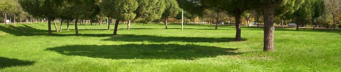 Imagen de M&B JARDINERÍA Y MANTENIMIENTO, S.L. situado en Tomares, Sevilla