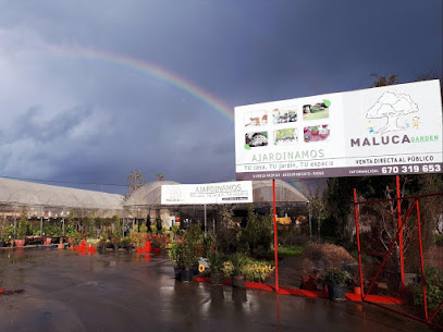 Imagen de Maluca Garden situado en Badajoz, Badajoz