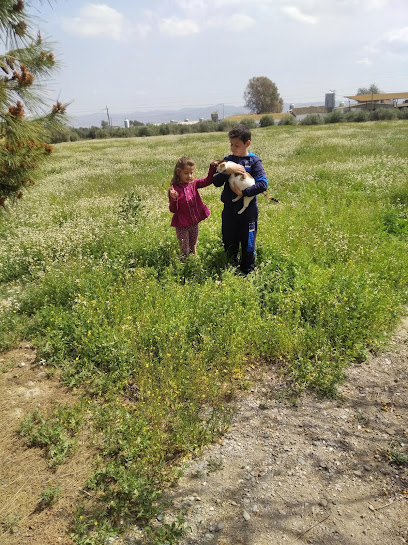 Imagen de Miguel Angel Viveros situado en Puerto Lumbreras, Murcia