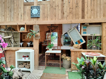 Imagen de Nana Vivero - Orquídeas, plantas, paisajismo y decoración situado en Monte Lentiscal, Las Palmas