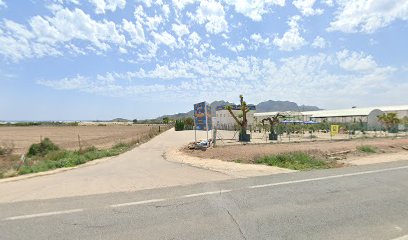 Imagen de Natural y Sostenible del Levante S.L. situado en nan, Murcia