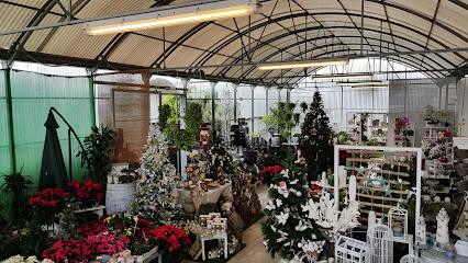 Imagen de Naturalia. Centre de Jardineria. situado en Teulada, Alicante