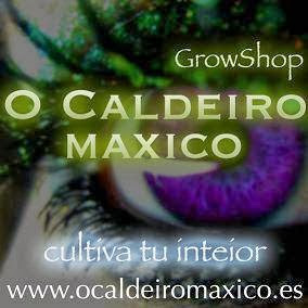 Imagen de O Caldeiro Máxico grow shop situado en Viveiro, Lugo