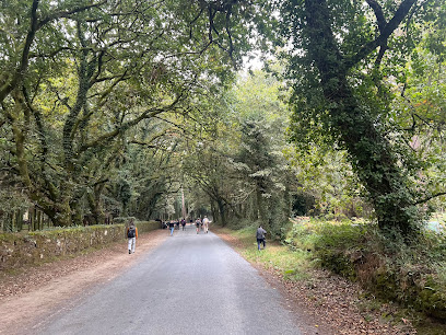 Imagen de O Pino Forestal S C situado en Santiago de Compostela, A Coruña