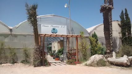 Imagen de Oasis Plantas S.L. situado en nan, Alicante