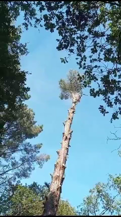 Imagen de Oka jardinería situado en Forua, Biscay