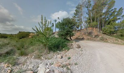 Imagen de OliveTreesSpain situado en Salsadella, Castellón