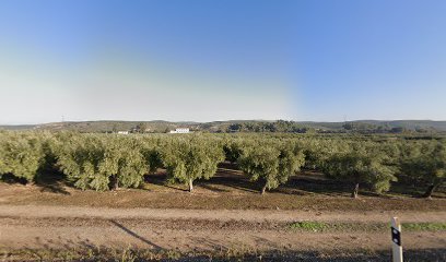 Imagen de Olivos Bravo situado en Castro del Río, Córdoba