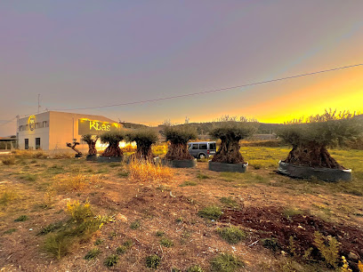 Imagen de Olivos Centenarios Low Cost situado en Gata de Gorgos, Alicante