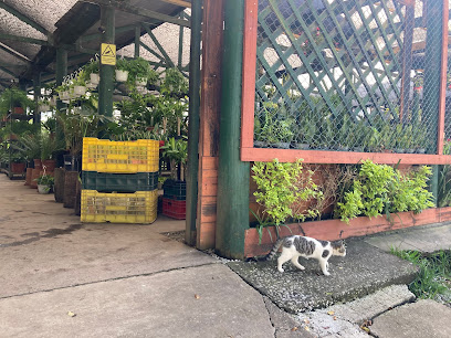 Imagen de Ornamentales Florasol Vivero situado en Cdad. de Guatemala, nan