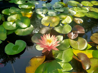 Imagen de PAICHI GARDEN,S.L. situado en Moraira, Alicante