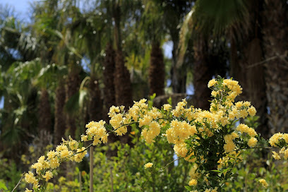 Imagen de Paisajismo integral Alfabia Natura - Diseño y construcción de jardines - Landscape design and garden maintenance situado en nan, Balearic Islands