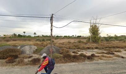 Imagen de Palmas El Palmeral S.L. situado en l'Algoda, Alicante