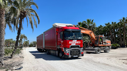 Imagen de Palmeras Pepe Coves situado en Elche, Alicante