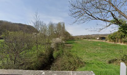 Imagen de Pépinière Alisma : plantes aquatiques situado en Caumont, nan