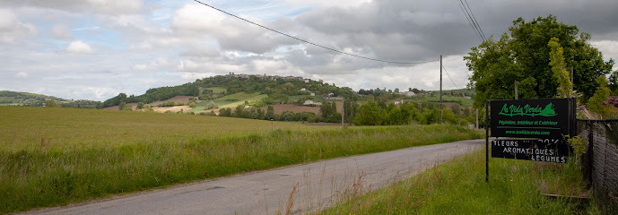 Imagen de Pépinière la Vida Verda - Lauzerte (82) situado en Lauzerte, nan