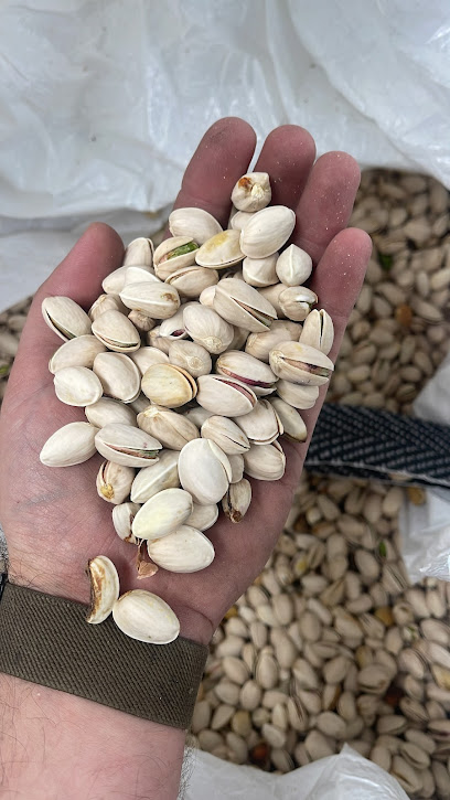 Imagen de Pistachos del Júcar situado en Valdeganga, Albacete