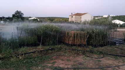 Imagen de Plantaciones Martin Gallardo El Saucejo situado en El Saucejo, Sevilla