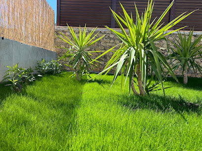 Imagen de Plantas Benalla SL situado en Lorca, Murcia