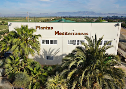 Imagen de Plantas Mediterraneas situado en Elche, Alicante