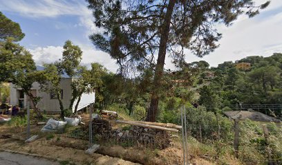 Imagen de Plantas Permacultura situado en La Baronia del Montseny, Barcelona