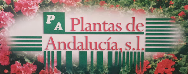 Imagen de Plantas de Andalucía S.L situado en El Ejido, Almería