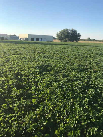 Imagen de Plantas de Segovia SL situado en Mozoncillo, Segovia