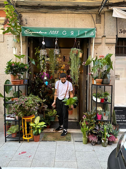 Imagen de Plantas tropicales situado en Madrid, Madrid