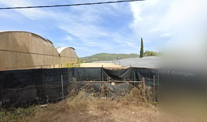 Imagen de Planteles Ecológicos "Els Fameliers" situado en Santa Eulalia del Río, Balearic Islands