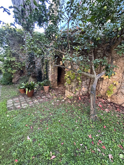 Imagen de Plantes Can Mitjavila situado en Valveralla, Girona