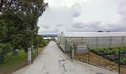 Imagen de Plantplus situado en Narón, A Coruña