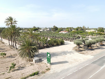 Imagen de Planttas situado en Elche, Alicante