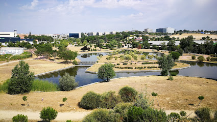 Imagen de Playgarden situado en Madrid, Madrid