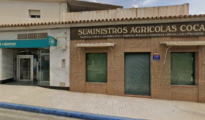 Imagen de Pontos Jardinería situado en Almayate, Málaga