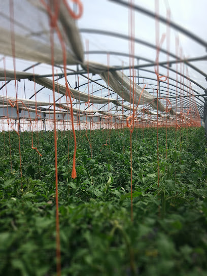 Imagen de Pradedo Horticultura situado en nan, A Coruña