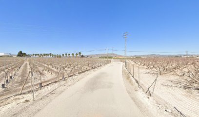 Imagen de Productores De Plantas De Vivero S L situado en nan, Murcia