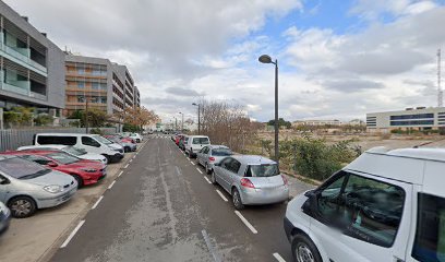 Imagen de Productos De Jardinera Para La Exportación S L situado en Valencia, Valencia